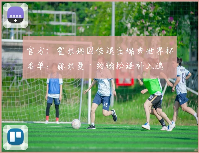 官方：霍尔姆因伤退出瑞典世界杯名单，赫尔曼·约翰松递补入选